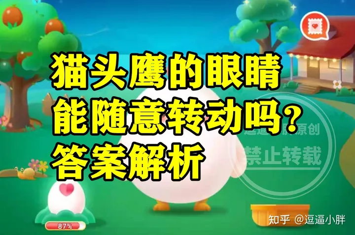 猫头鹰的眼睛能不能随意转动？蚂蚁庄园今日答案（猫头鹰的眼球可以转动吗）