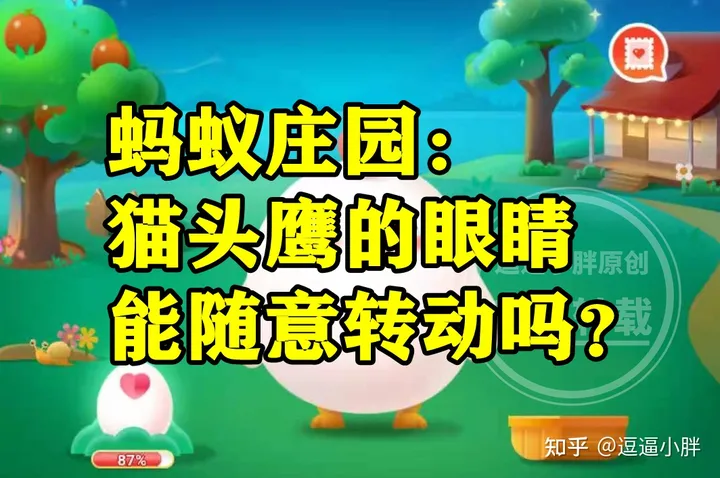 猫头鹰的眼睛能不能随意转动？蚂蚁庄园今日答案（猫头鹰的眼球可以转动吗）