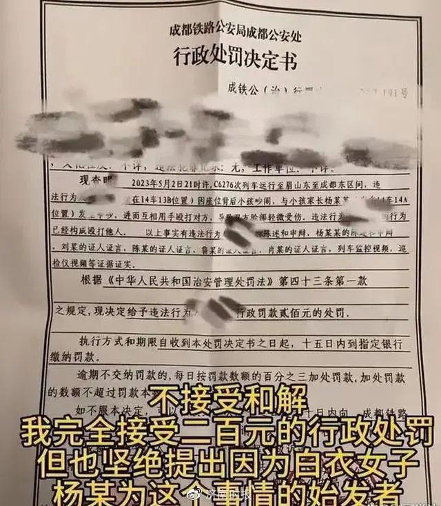 “高铁掌掴”案反击女子被认定“互殴”，为何引发热议？-高铁打架事件处理结果