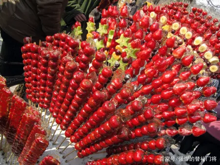 传统小吃“冰糖葫芦”，最开始就是一种美食吗？蚂蚁庄园今日答案（冰糖葫芦最早用的是什么糖）
