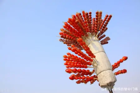 传统小吃“冰糖葫芦”，最开始就是一种美食吗？蚂蚁庄园今日答案（冰糖葫芦最早用的是什么糖）