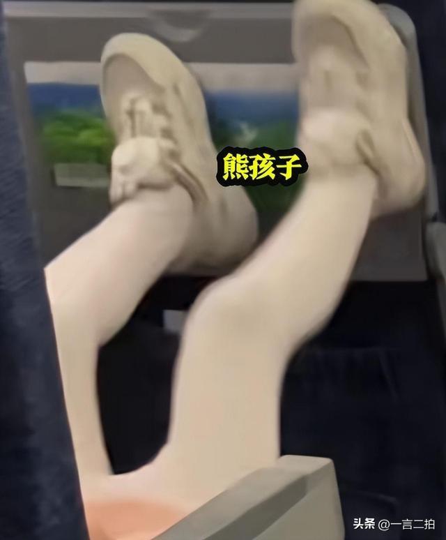 高铁掌掴事件后续：打人夫妻哭求和解，女子不服互殴判定申请复议-高铁殴打乘务员踢伤乘务员