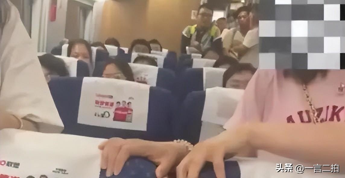 高铁掌掴事件后续：打人夫妻哭求和解，女子不服互殴判定申请复议-高铁殴打乘务员踢伤乘务员