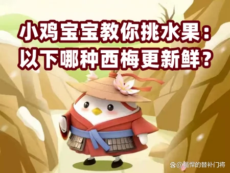 小鸡宝宝教你挑水果：下列哪种西梅更新鲜？蚂蚁庄园今日答案（小鸡宝宝考考你水果分公母）