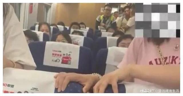 高铁女子被打而还手被认定为互殴引热议，女子不服提起行政复议-女子高铁打哭