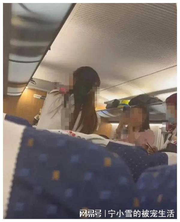 高铁女子被打而还手被认定为互殴引热议，女子不服提起行政复议-女子高铁打哭