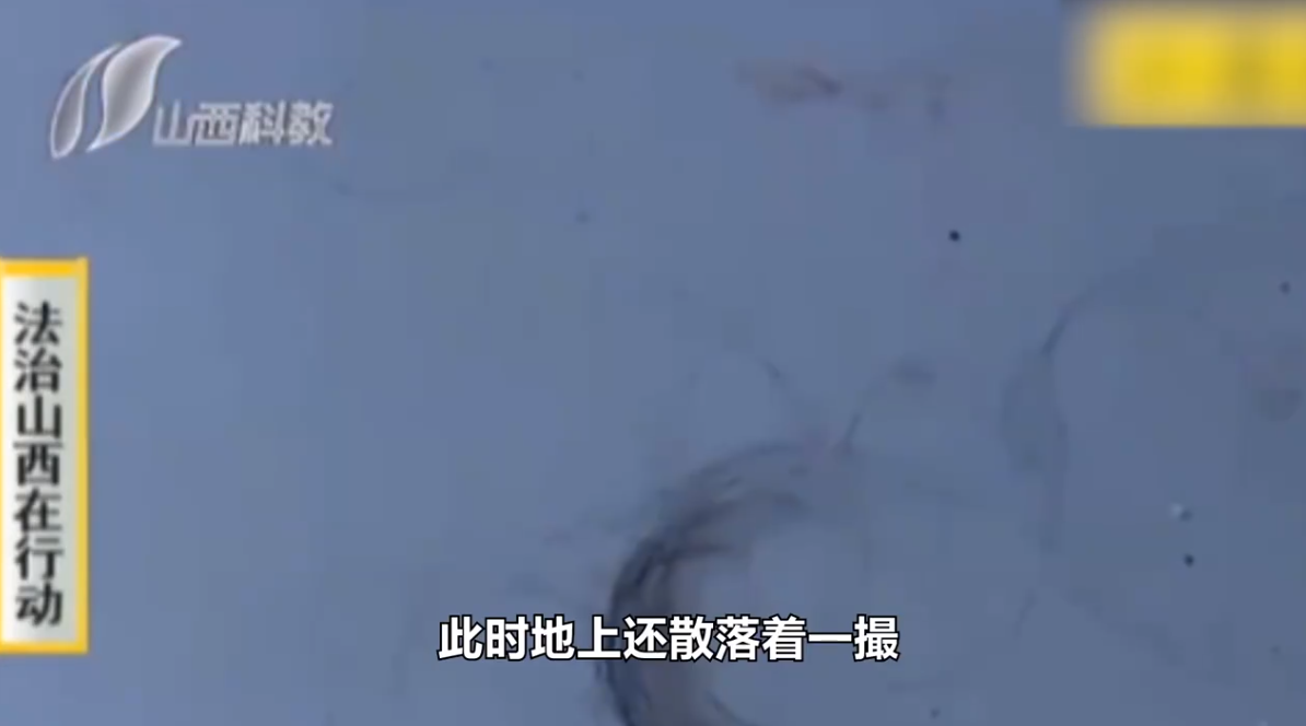 房东眼红租户生意火爆，将房租涨一倍，电费十块一度，遭租户暴打（房东电费收贵了怎么办呢）