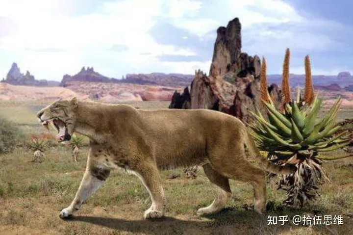 剑齿虎拥有10厘米獠牙，以猛犸象为食，为何突然灭绝？（剑齿虎灭绝到现在多少年了）