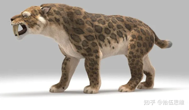 剑齿虎拥有10厘米獠牙，以猛犸象为食，为何突然灭绝？（剑齿虎灭绝到现在多少年了）