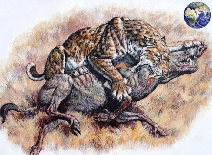 平头的果然都不好惹，300年前有种平头猪，就算剑齿虎见了都怕（平头猪啥意思）