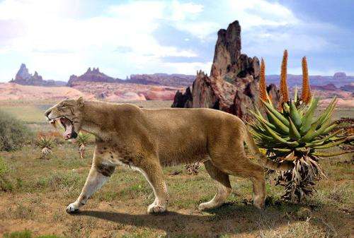 能猎杀猛犸象的剑齿虎能打过老虎狮子吗？这俩原因导致它只能挨打（剑齿虎捕猎猛犸象图片）