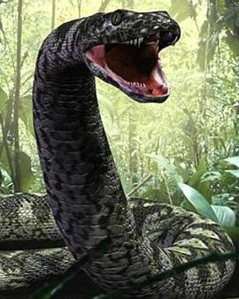 比恐龙更可怕9种动物，发起飙来，它能杀死霸王龙（比恐龙更厉害的动物是什么）