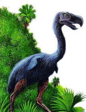 比恐龙更可怕9种动物，发起飙来，它能杀死霸王龙（比恐龙更厉害的动物是什么）