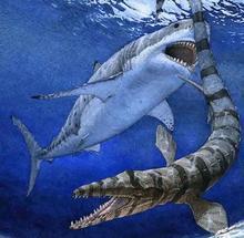 比恐龙更可怕9种动物，发起飙来，它能杀死霸王龙（比恐龙更厉害的动物是什么）