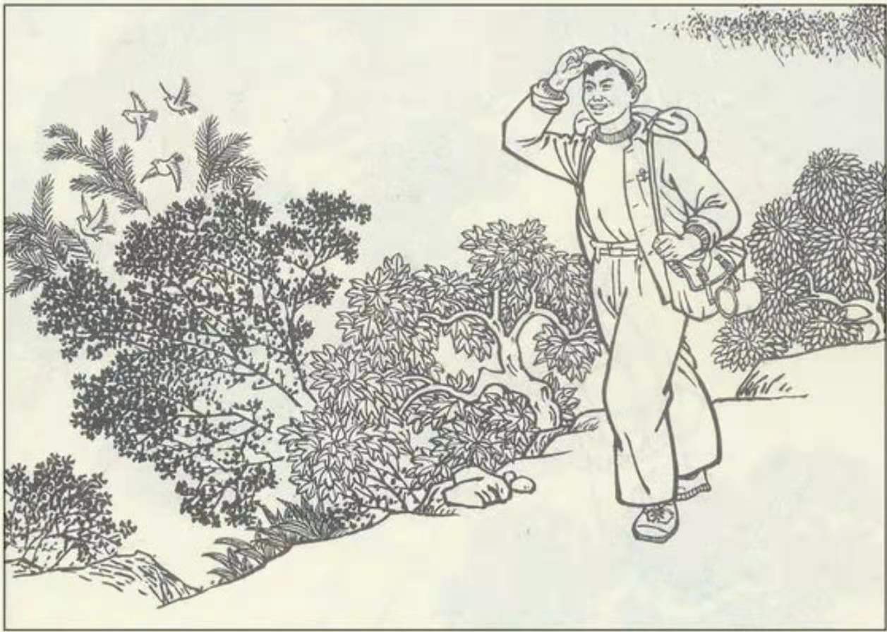 知青“插队落户”在深山，当地从未遭猛兽袭击，村民说有山神保护（知青插队的地方有哪些）