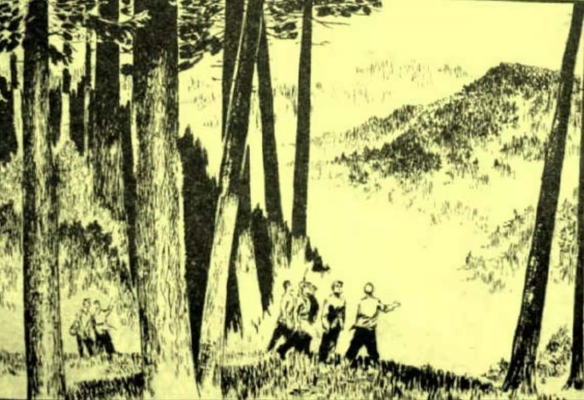 知青“插队落户”在深山，当地从未遭猛兽袭击，村民说有山神保护（知青插队的地方有哪些）