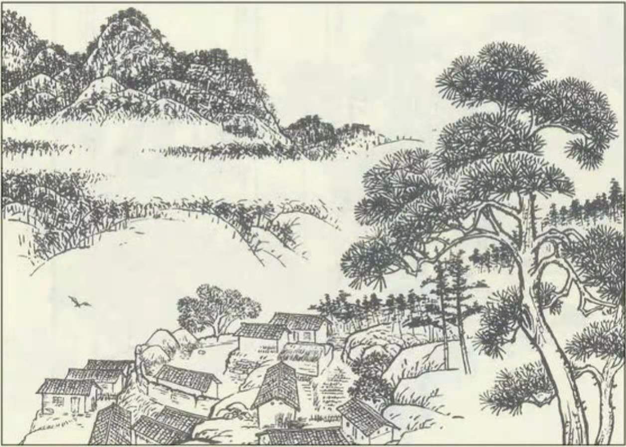 知青“插队落户”在深山，当地从未遭猛兽袭击，村民说有山神保护（知青插队的地方有哪些）