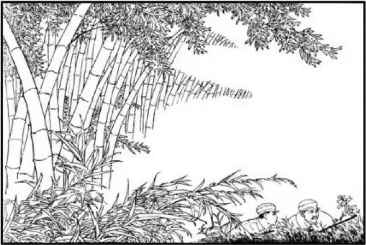 知青“插队落户”在深山，当地从未遭猛兽袭击，村民说有山神保护（知青插队的地方有哪些）