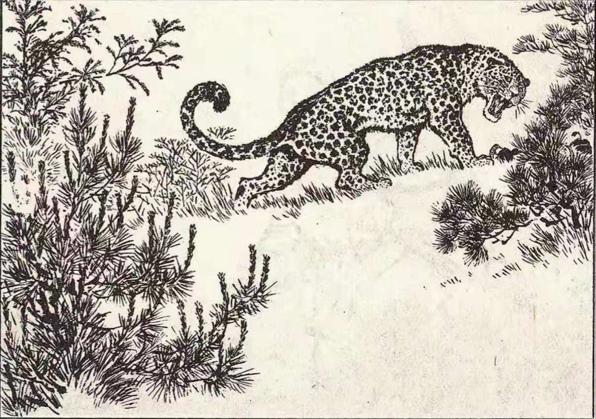 知青“插队落户”在深山，当地从未遭猛兽袭击，村民说有山神保护（知青插队的地方有哪些）