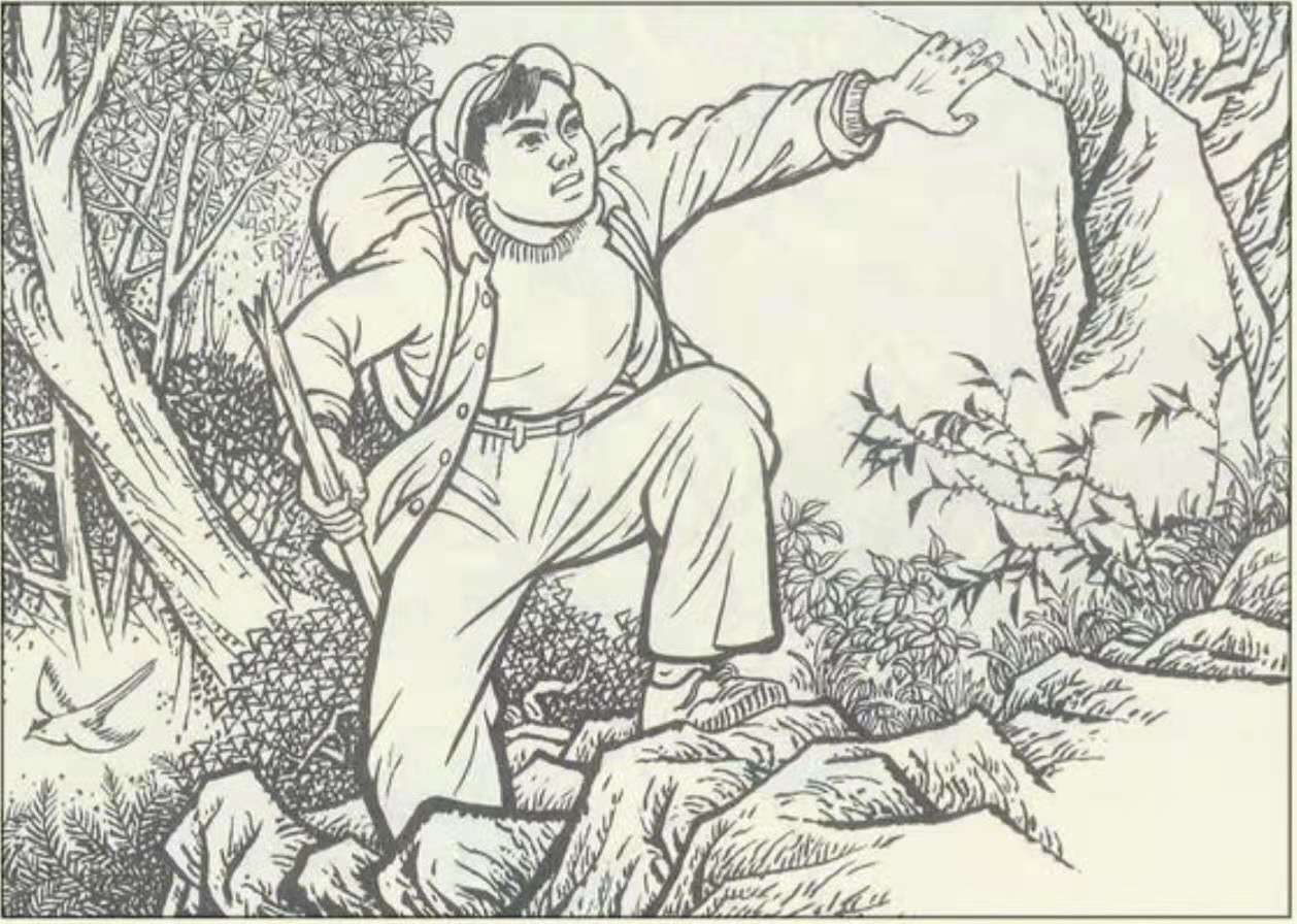 知青“插队落户”在深山，当地从未遭猛兽袭击，村民说有山神保护（知青插队的地方有哪些）