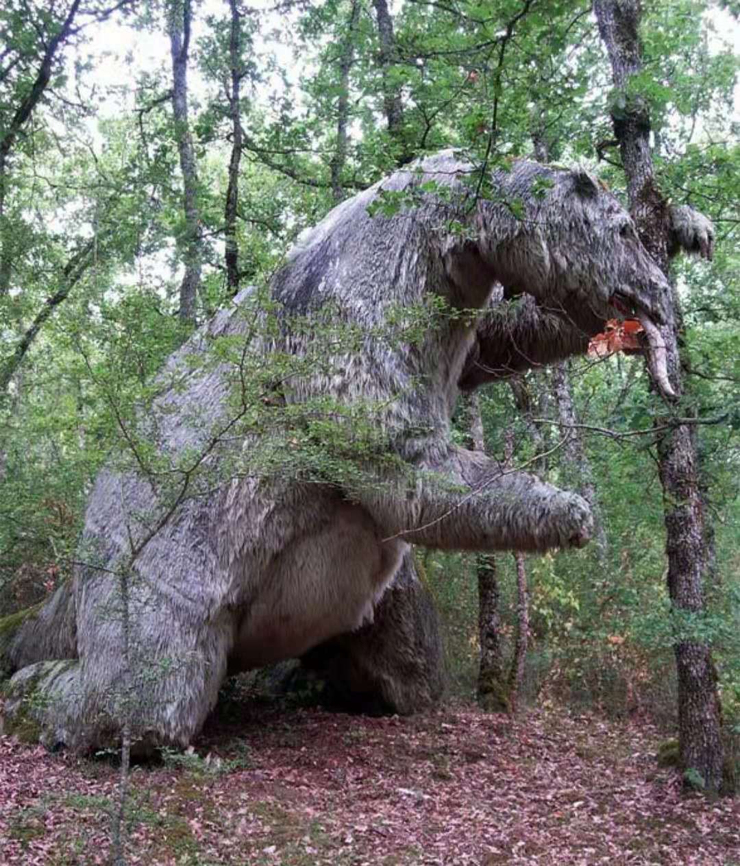 知青“插队落户”在深山，当地从未遭猛兽袭击，村民说有山神保护（知青插队的地方有哪些）