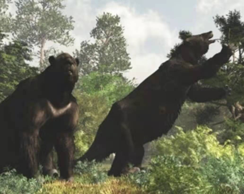 知青“插队落户”在深山，当地从未遭猛兽袭击，村民说有山神保护（知青插队的地方有哪些）