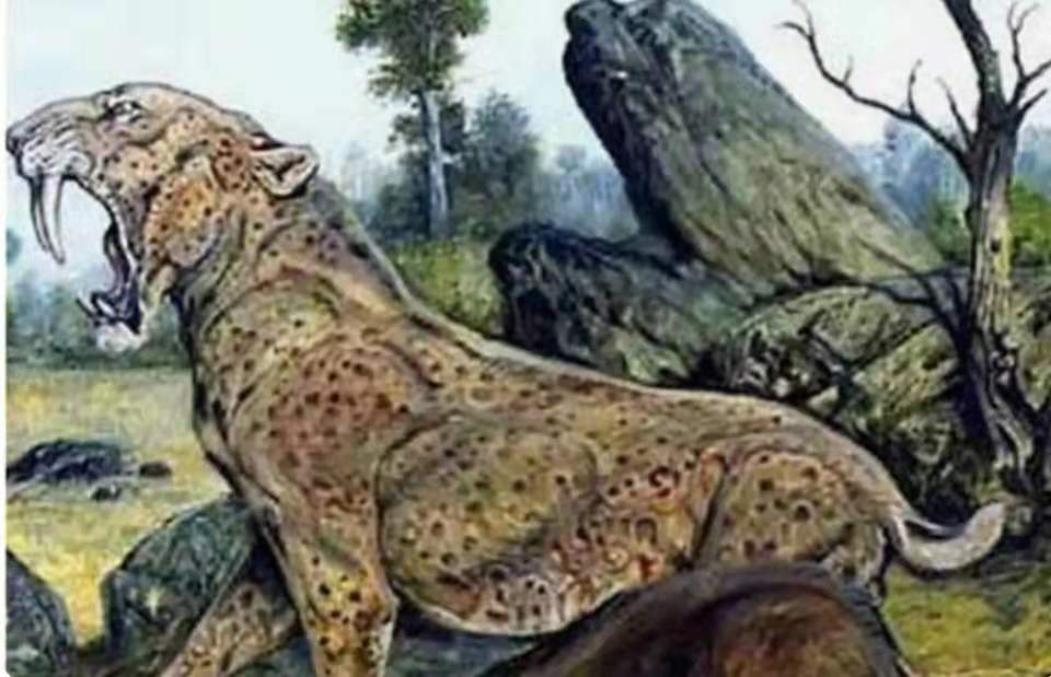 知青“插队落户”在深山，当地从未遭猛兽袭击，村民说有山神保护（知青插队的地方有哪些）