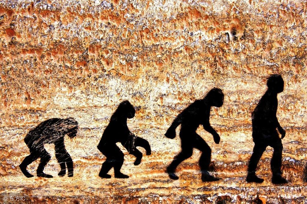 猎手到猎物的转变，人类真的是灭亡剑齿虎的元凶吗，沥青揭示真相（剑齿虎被人类灭绝）