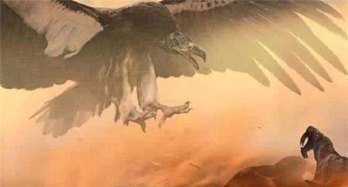 史上最大的巨鹰，身高超2米，捕猎剑齿虎为生，至今都没找到天敌（世界上最大的鹰叫什么鹰）