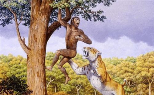 人类真的没天敌! 此动物曾以人类祖先为食, 现今却都爱养它的后代（为什么人类没有天敌也没有泛滥成灾）