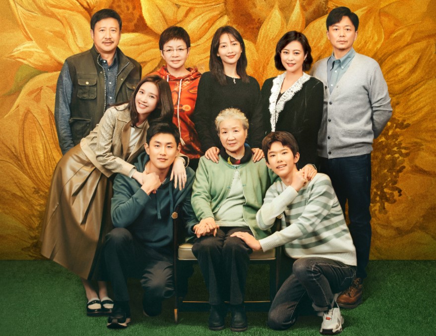 《熟年》：家庭剧要好看，还得有个“宋丹丹”-熟龄是指什么岁数