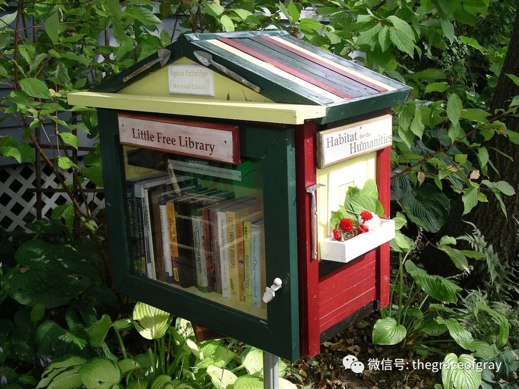 疫情下西雅图社区见闻之“我丈夫说我是艺术家”-西雅图疫情最新进展