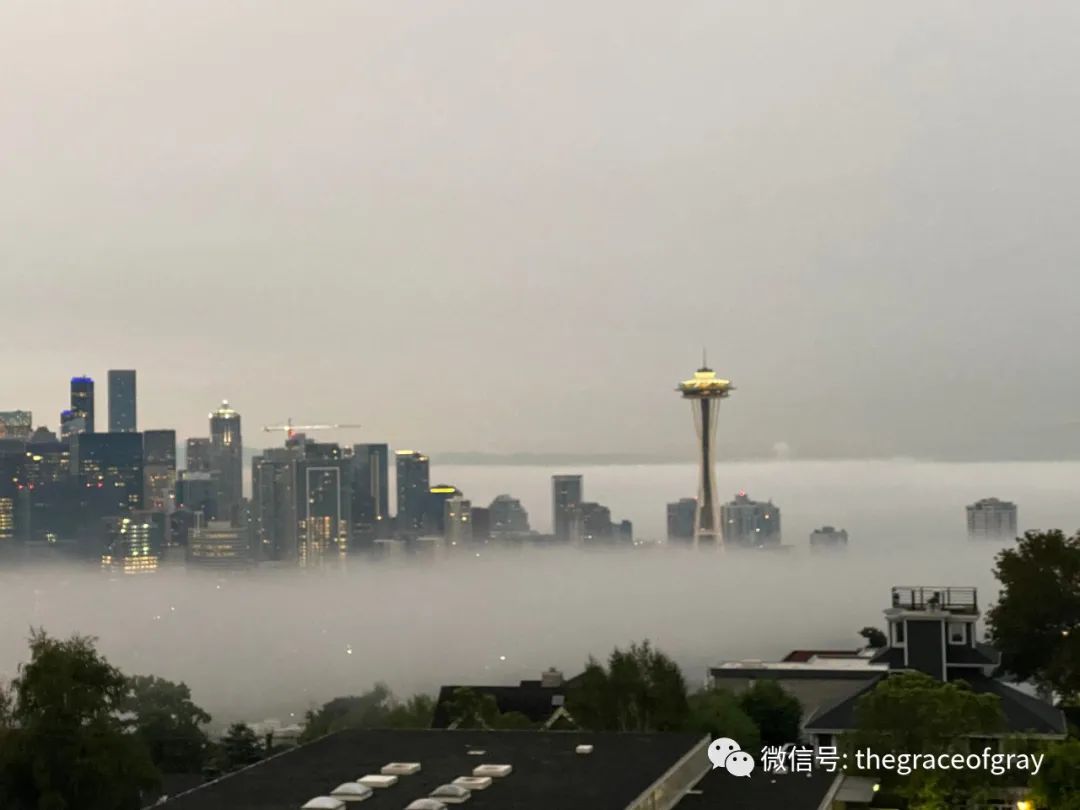 疫情下西雅图社区见闻之“我丈夫说我是艺术家”-西雅图疫情最新进展