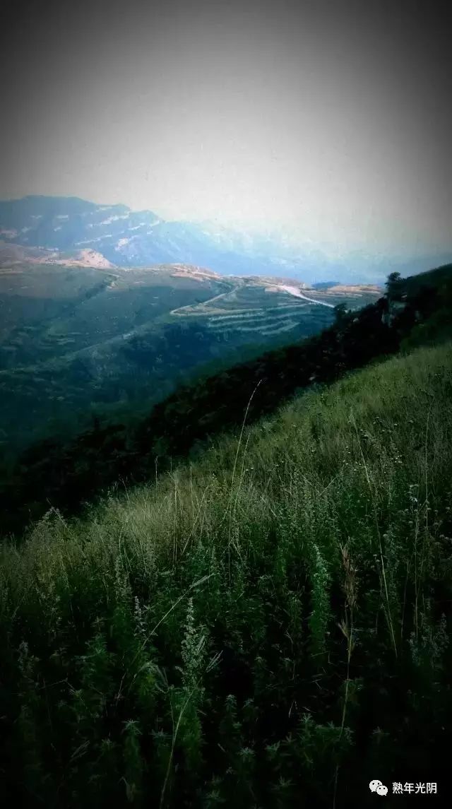 向北方-向北方舒婷