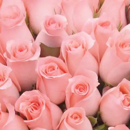 算命人直言：2021年4生肖，福气“登堂入室”，财富堆积成山-登堂入室是指什么生肖