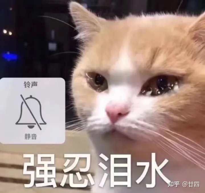 现在哪个求职网站（app）最靠谱？（求职哪个平台最好）