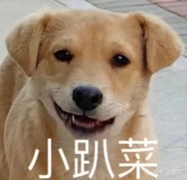 现在哪个求职网站（app）最靠谱？（求职哪个平台最好）