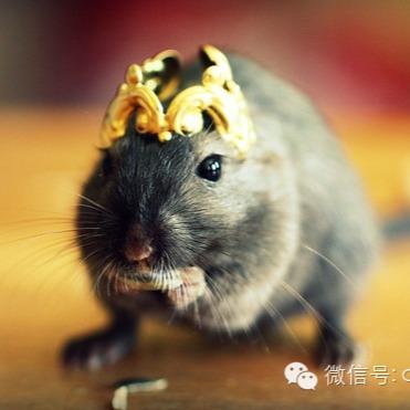 第一天入职第二天就离职是种怎样的体验？-头天入职第二天辞职