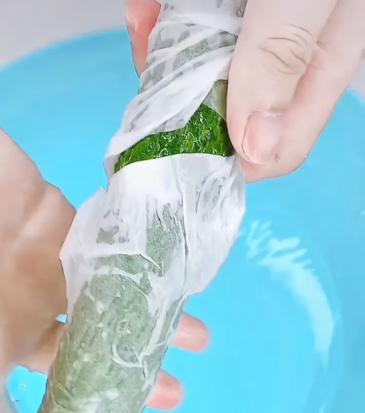 生活中有哪些小妙招？（生活中有哪些小妙招呢）