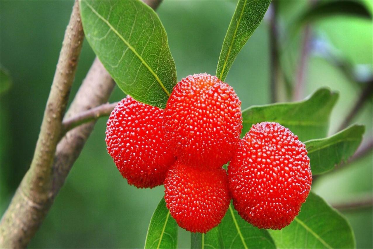 生活里面的18个小窍门，简单好用，可以帮助我们解决一些问题（生活各种小妙招）