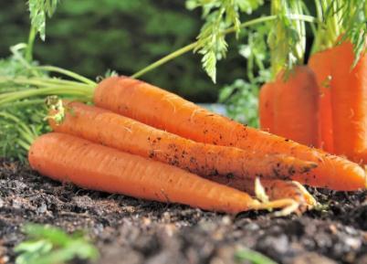 30个最聪明的生活小窍门（最聪明的活法）