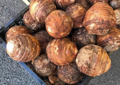 30个最聪明的生活小窍门（最聪明的活法）