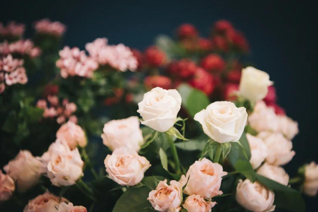 今天“520”，52条告白文案，早晚用得上！-告白情话5.20