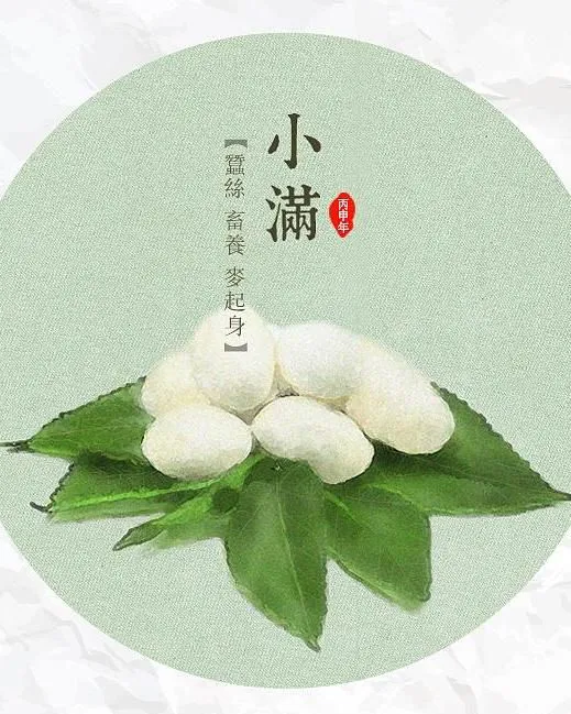 二十四节气之小满，你了解吗？（二十四节气小满的由来）