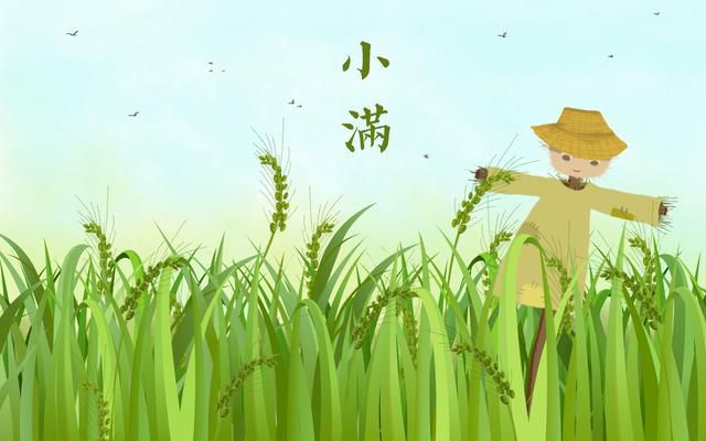 二十四节气之小满，你了解吗？（二十四节气小满的由来）