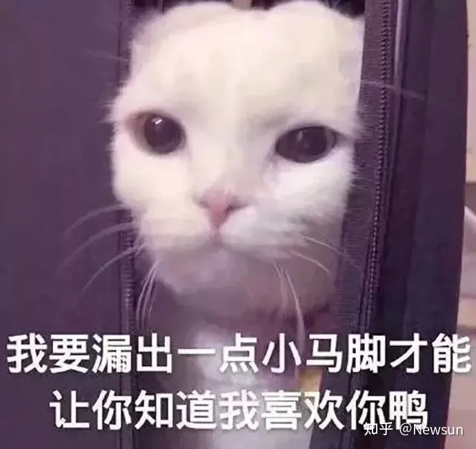 520表白情话文案-520表白的短句