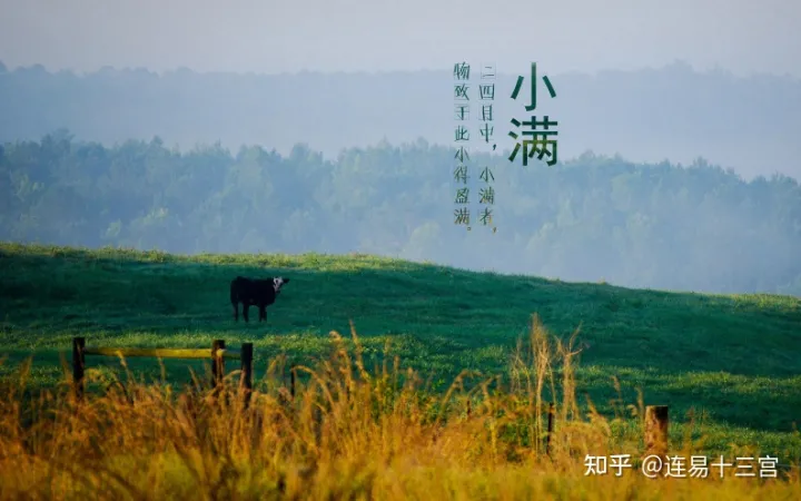 【24节气详解】小满-附养生精要（二十四节气小满的来历）