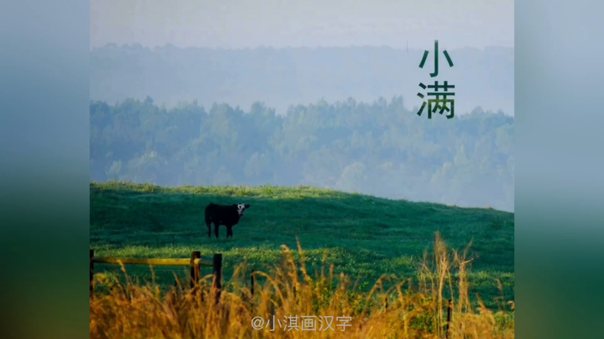 讲给孩子的二十四节气：小满（二十四节气之小满）