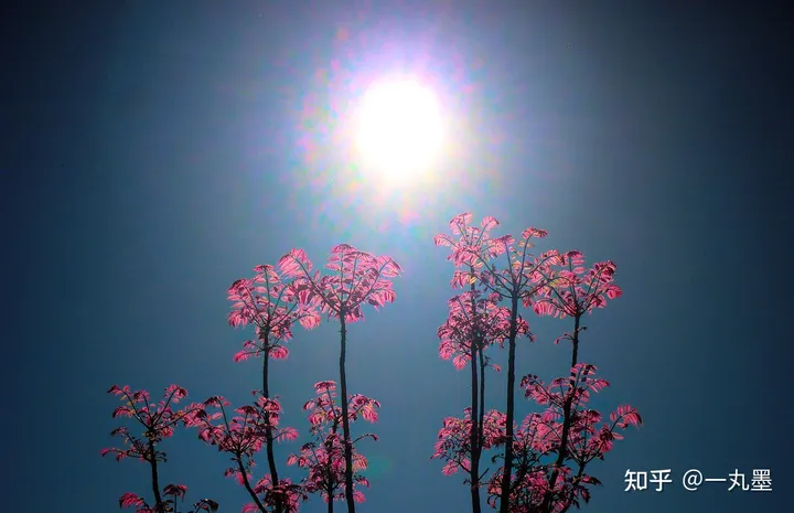 520有趣文案-520有意思的文案