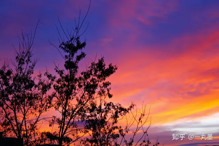 520有趣文案-520有意思的文案